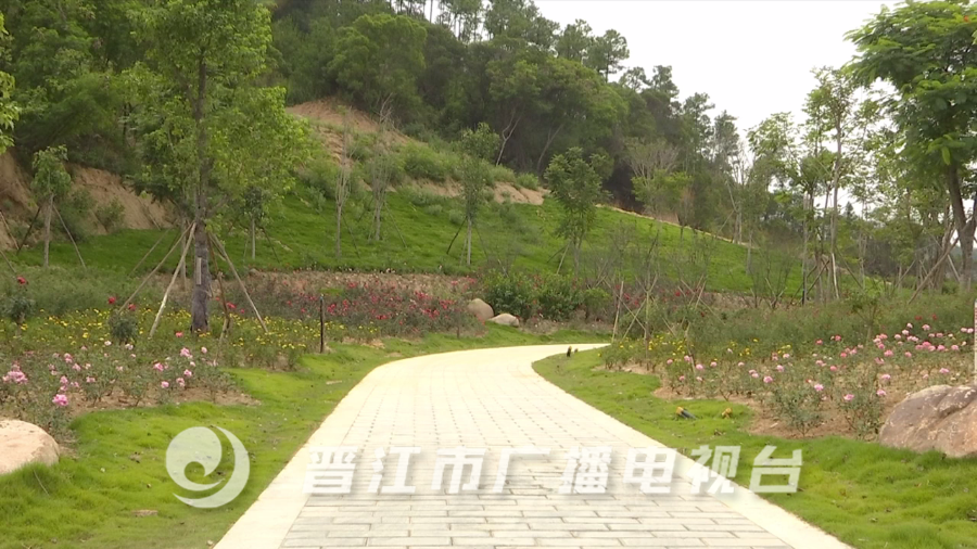 晋江崎山公园最新动态，一种观点的深度分析与阐述