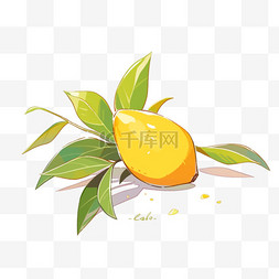 芒果动漫图片制作指南，从初学者到进阶用户的必备手册