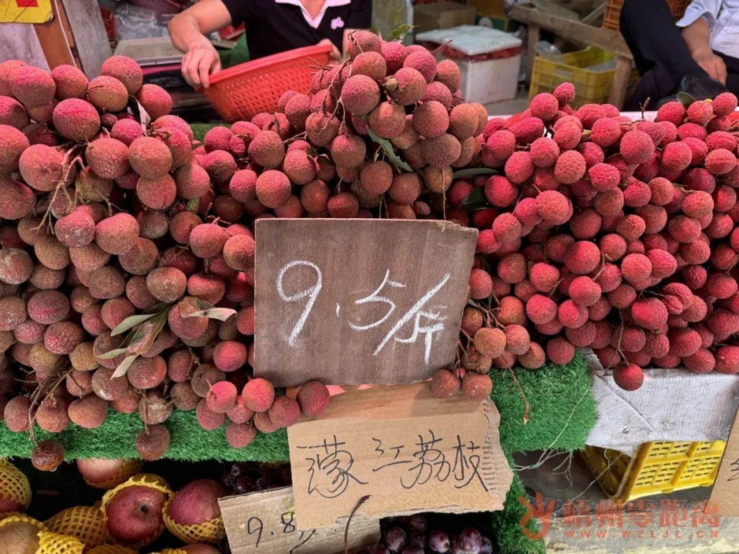 科技引领下的桂味荔枝新风尚与价格行情解析