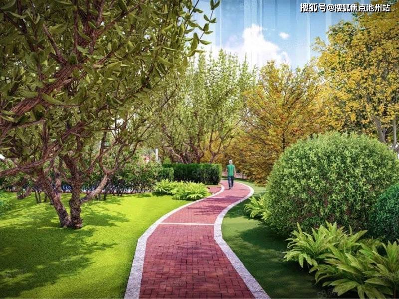 河北董天利最新动态，引领科技潮流，重塑未来生活新体验