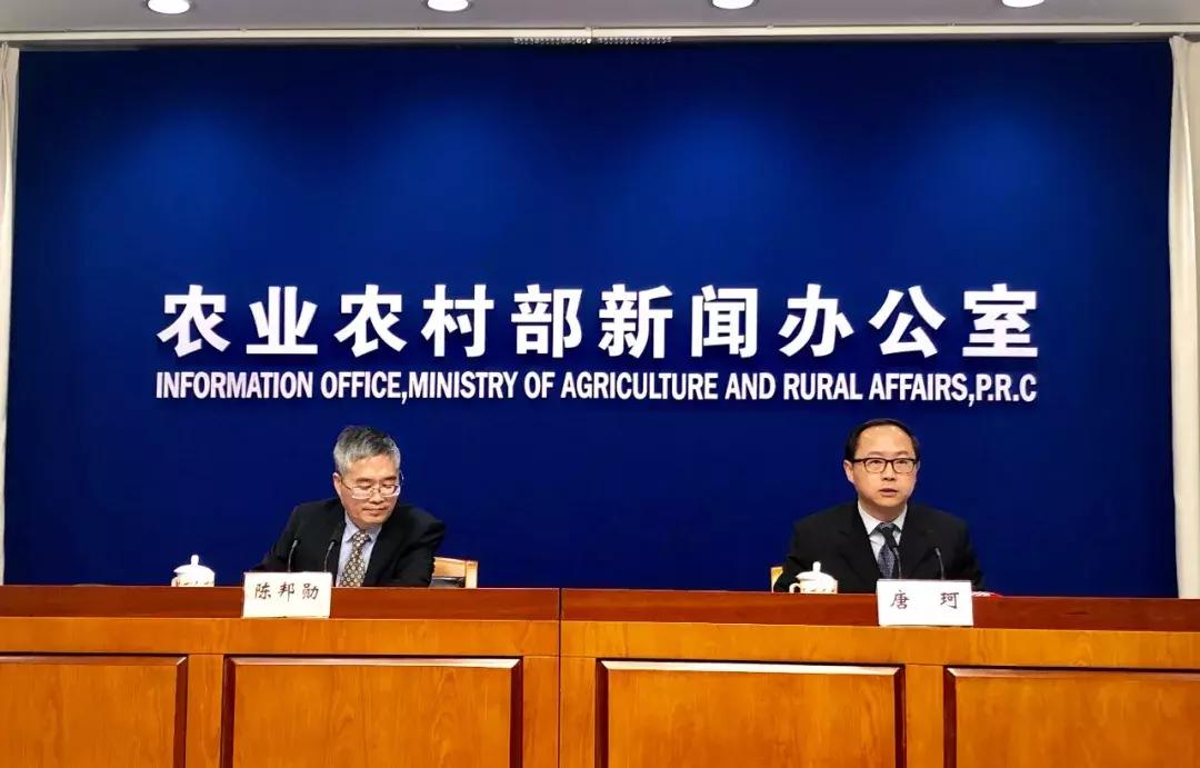 黄豆价格最新行情,黄豆价格最新行情分析