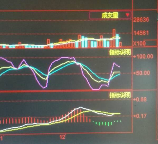 股票五档详解，开启投资新视角