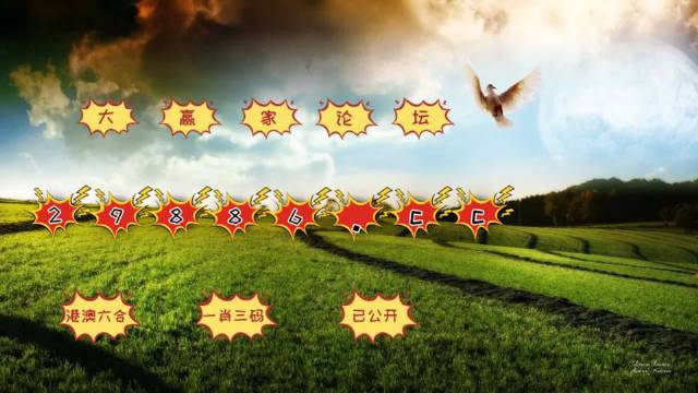 4949澳门彩开奖结果,创新发展策略_探索版53.692