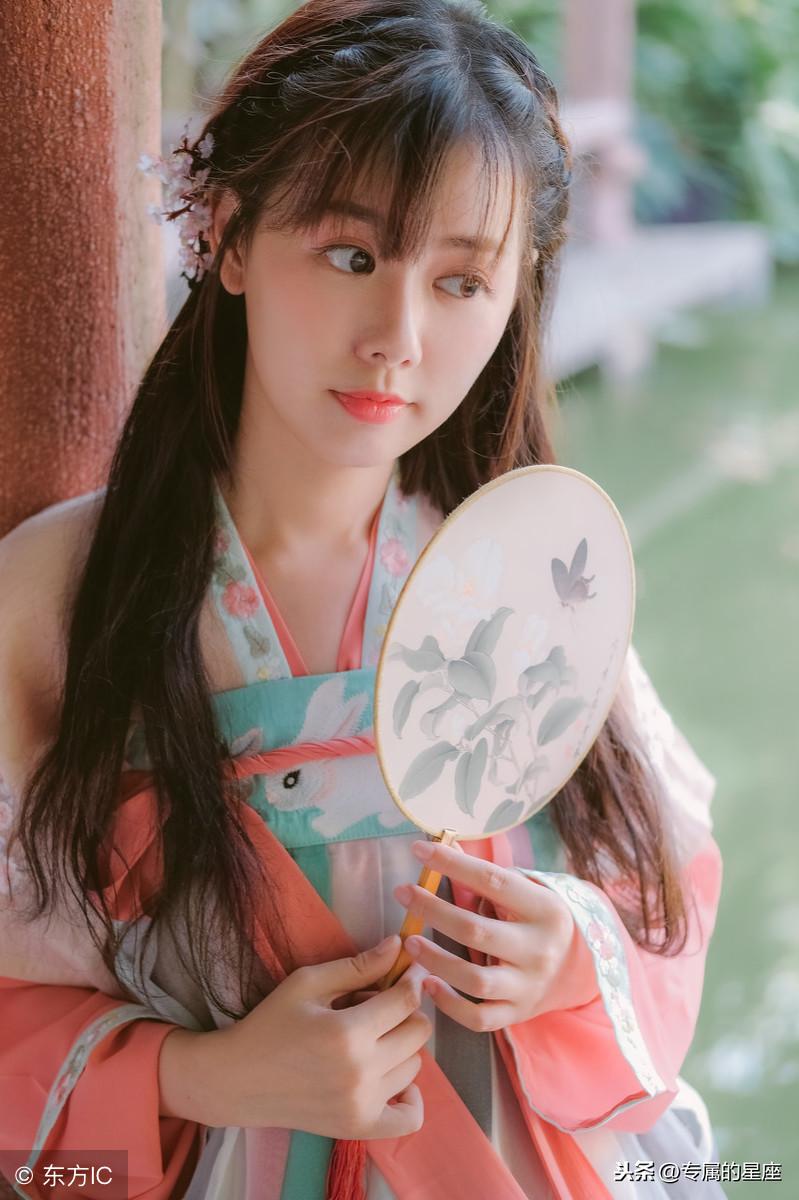 心动小猫最新，自然美景探险之旅的奇妙启程