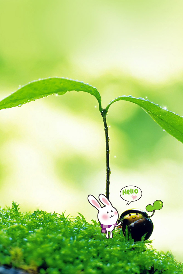 最新微桌面,最新微桌面的崛起与影响，时代背景下的细致剖析
