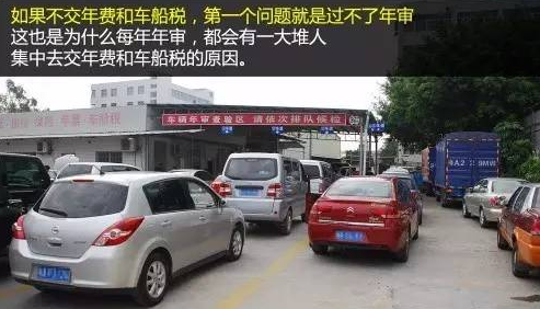 最新车审详解，从初学者到进阶用户的全方位指南