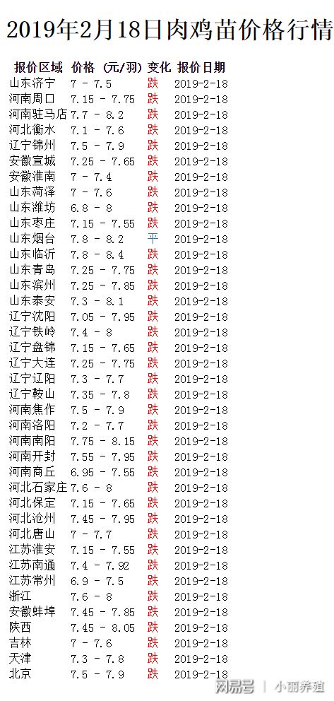 最新肉鸡价格动态，养鸡之旅探寻内心平静之道