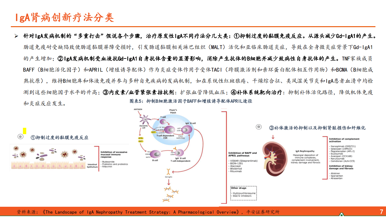 肾病最新研究，探索与突破的时代背景下的肾病进展