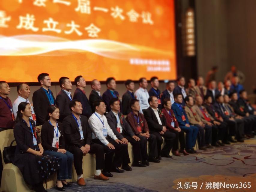 利辛最新新闻报道