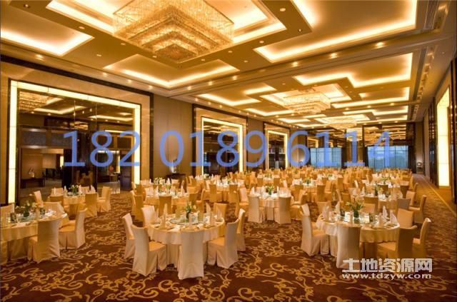 探寻上海饭店转让最新动态，商机与变迁同步更新