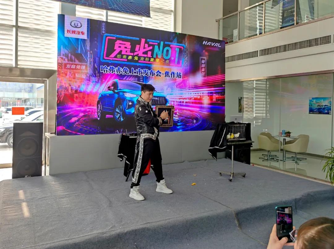哈弗最新活动深度解析，影响与展望（附个人观点）