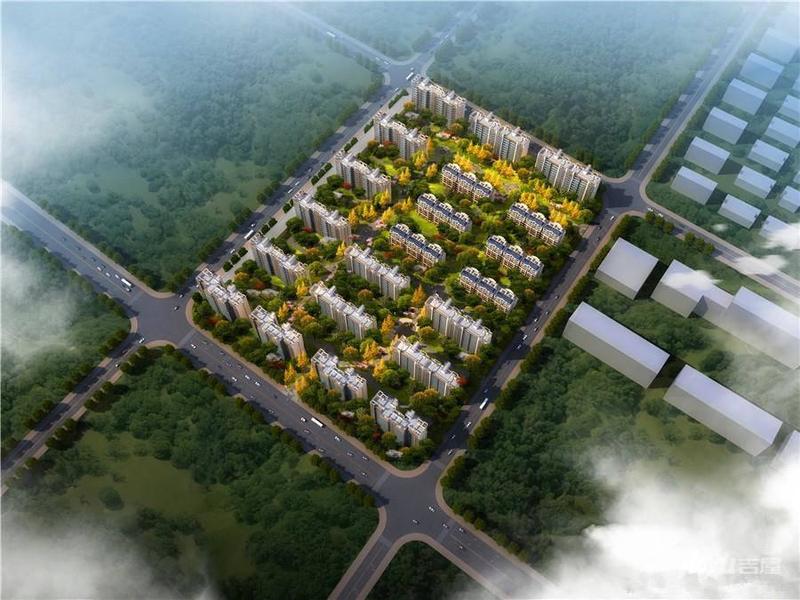 龙湾最新楼盘，科技前沿引领未来生活新篇章