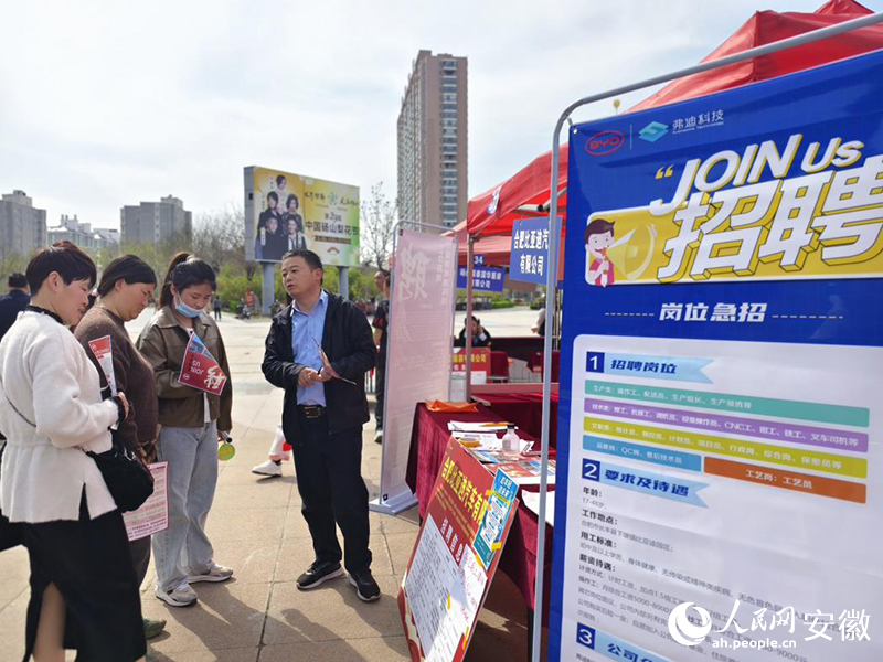 台前最新招聘解析与观点阐述