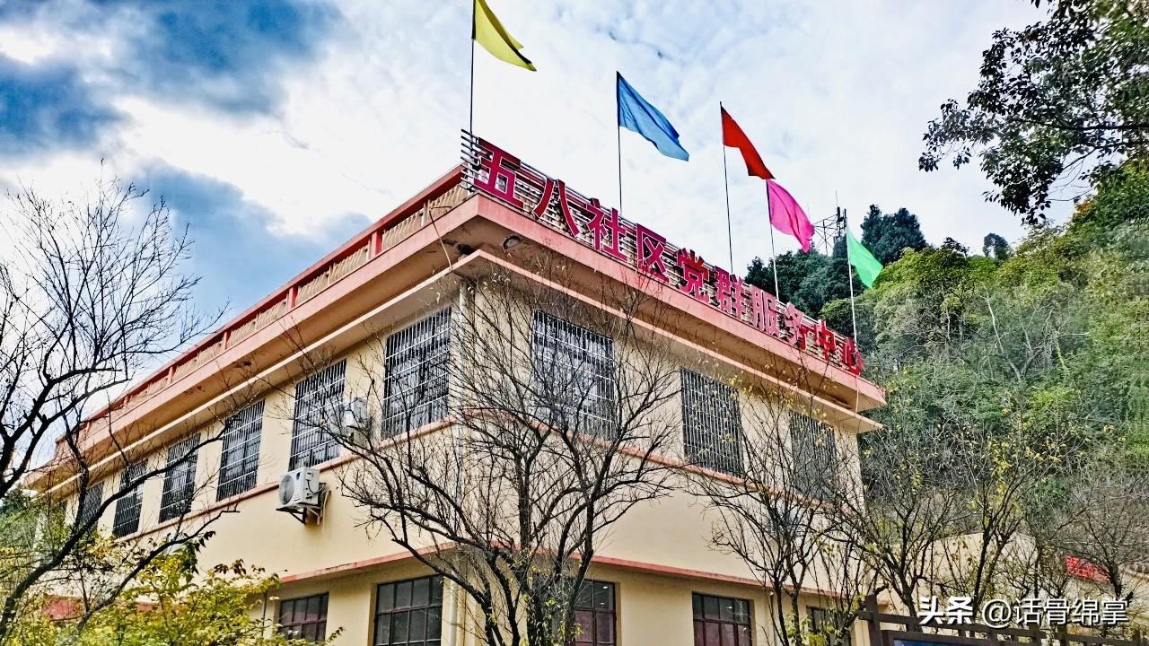 科研院所改制最新动态，探索自然美景的觉醒之旅