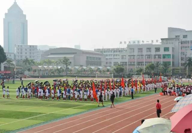 盛科城小学最新消息详解与指南