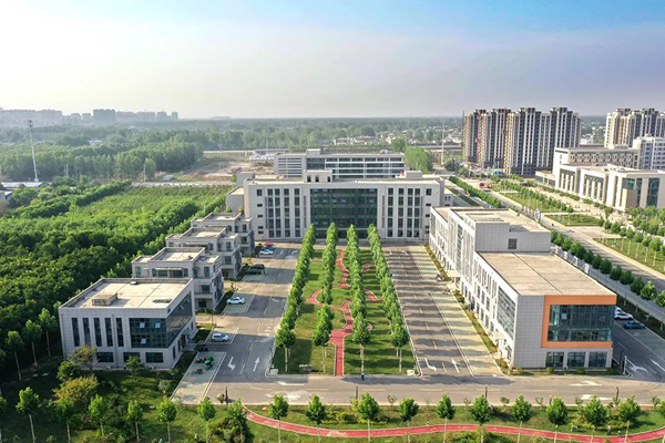邳州市政府最新招聘，启程友情与梦想之旅