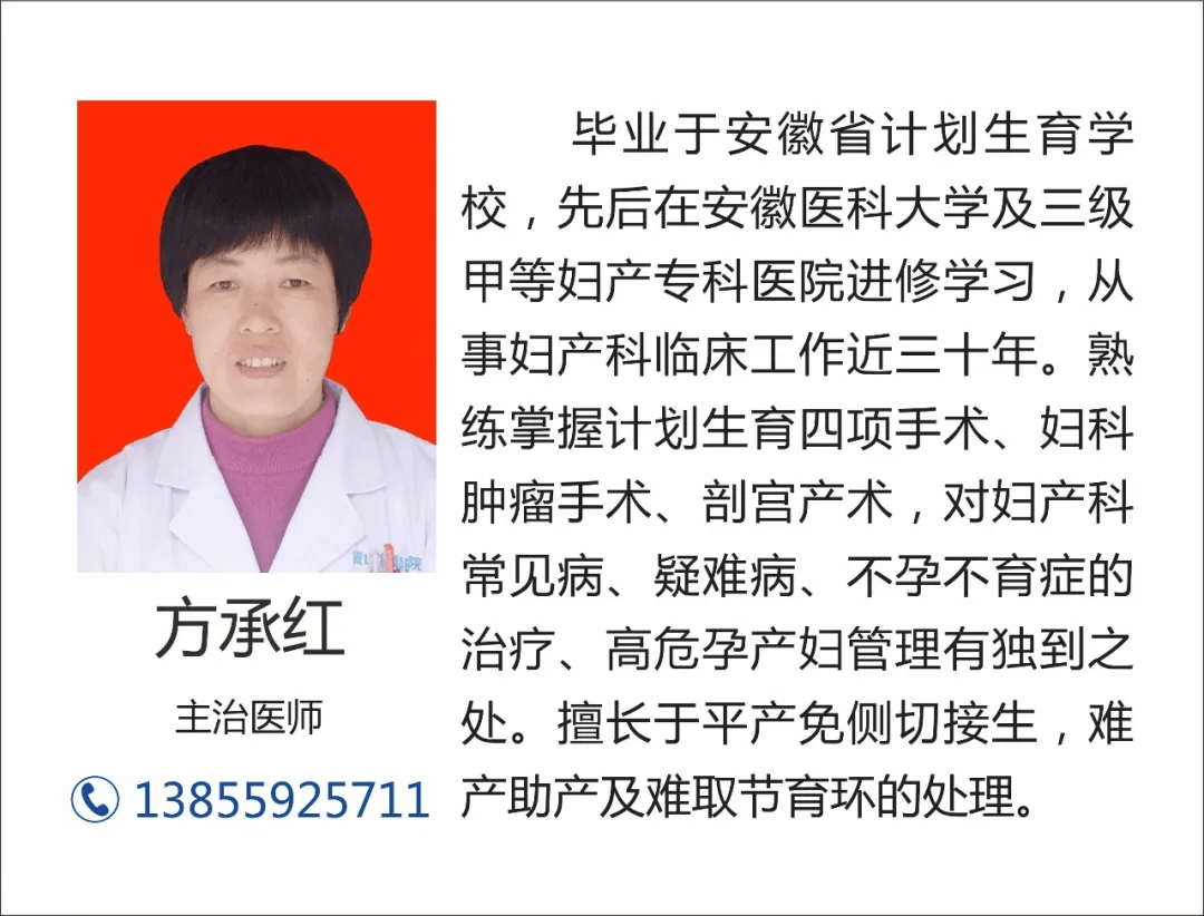 无上生活最新消息深度分析，个人观点与12月最新动态