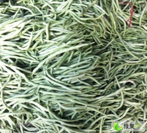 今日四季豆价格更新，小巷深处的豆香奇缘