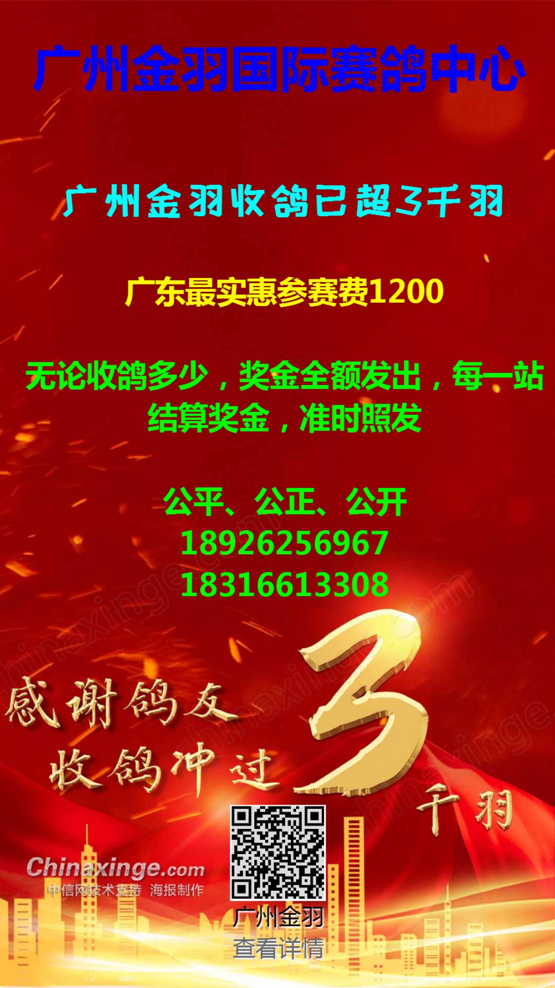 金亚赛鸽中心最新动态，自然美景探索之旅，寻求内心平和与宁静的旅程