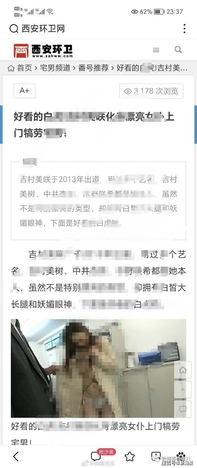黄网最新动态回顾，背景、重要事件与影响全解析