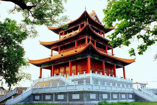 南京藏友阁最新动态，友情与宝藏的温馨日常