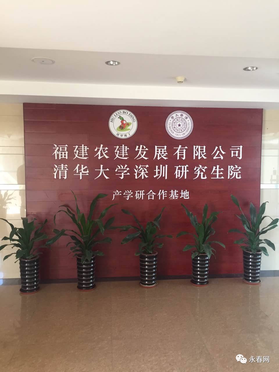 永春最新招聘资讯详解，观点论述与立场分析
