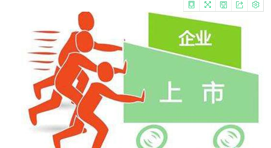 隐世巨擘，未上市的大公司时代