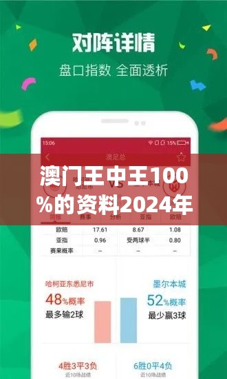 2024新澳门王中王正版,高效计划实施_稳定版18.247