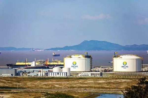 2025新奥最新资料,应用领域分析_图形版29.343