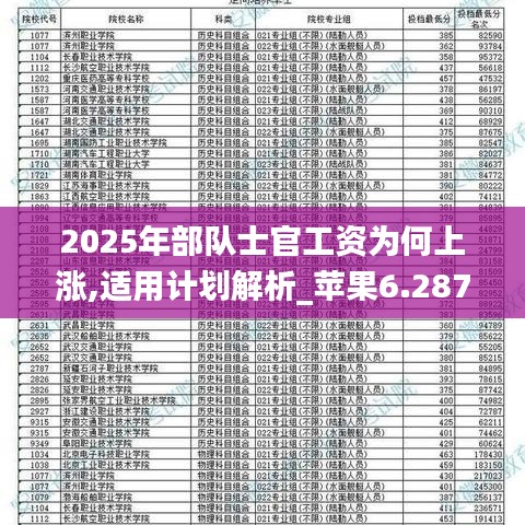 2025部队工资大幅上涨,实地数据验证_赛博版53.243