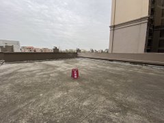 平洲御水岸最新房价动态及市场趋势，购房指南与实时更新房价信息