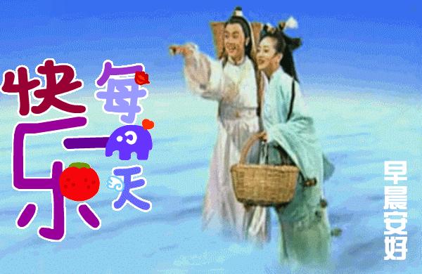 最新动态，深度论述某某观点