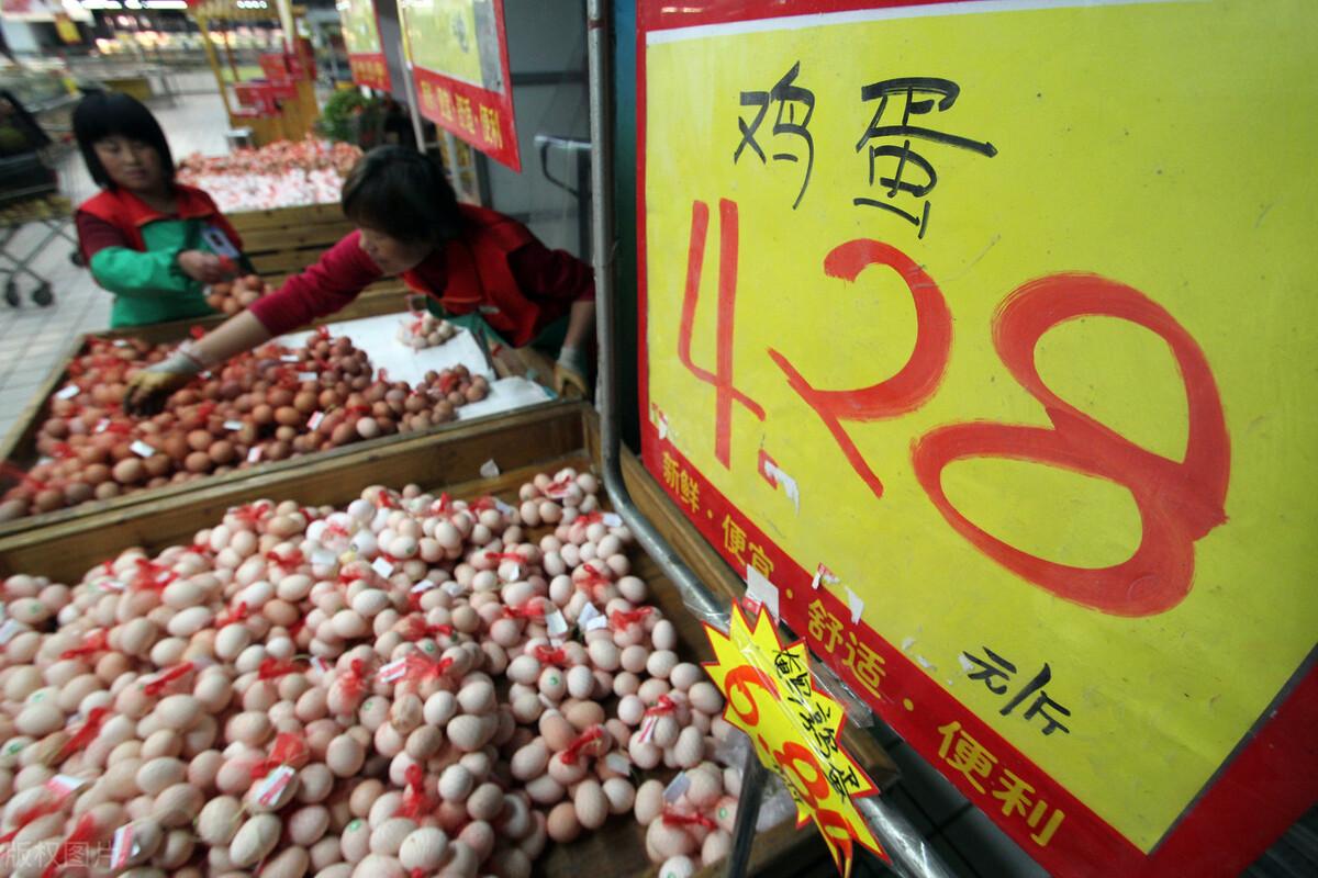 辽宁省鸡蛋价格行情深度解析🥚