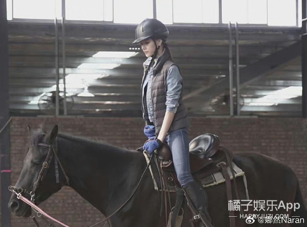 演员蛇拳，背景、历程与地位的综合探讨