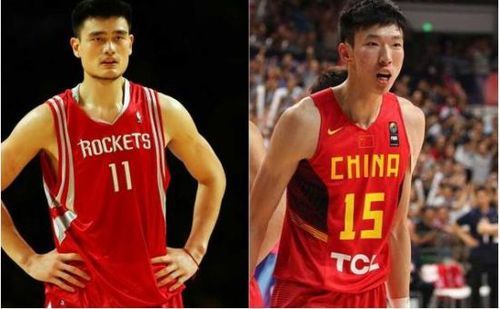 巴克利亲驴背后的神秘故事，小巷奇遇与特色小店揭秘