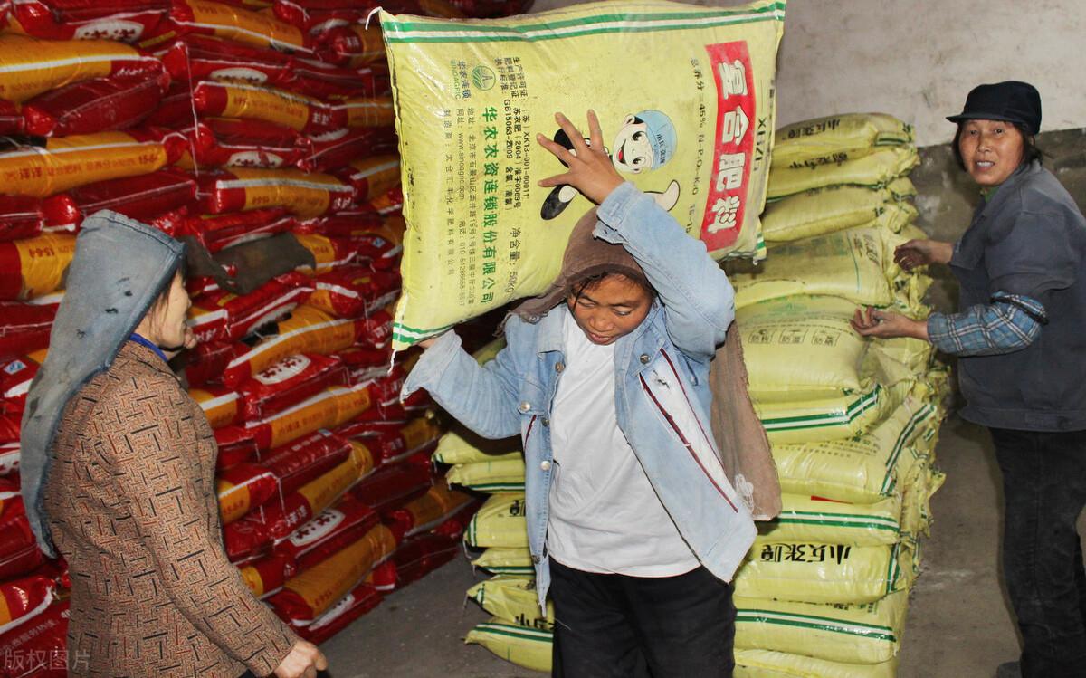 国际尿素价格最新动态更新