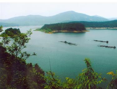 宝山湖最新动态，生态发展与休闲交融胜地