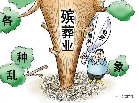 最新土葬政策，心灵与自然的融合之旅