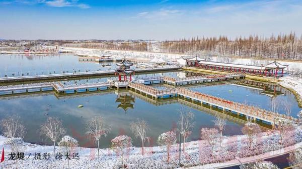光山湿地公园最新动态更新，最新消息汇集