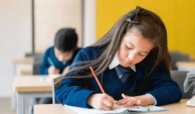 泸州学校打人事件最新消息，深度分析与观点阐述