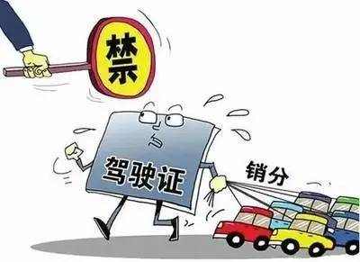 最新交通安全法下的温馨日常出行须知