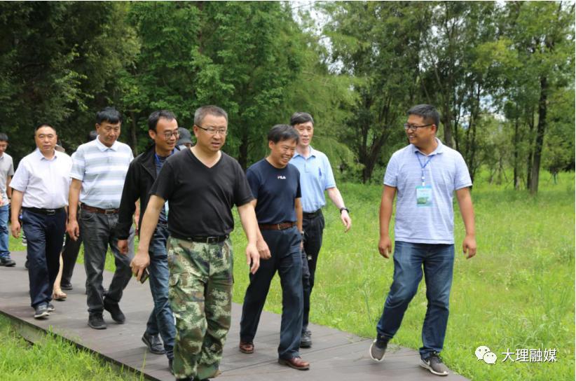大理洱海治理最新动态，坚定守护蓝色明珠的步伐